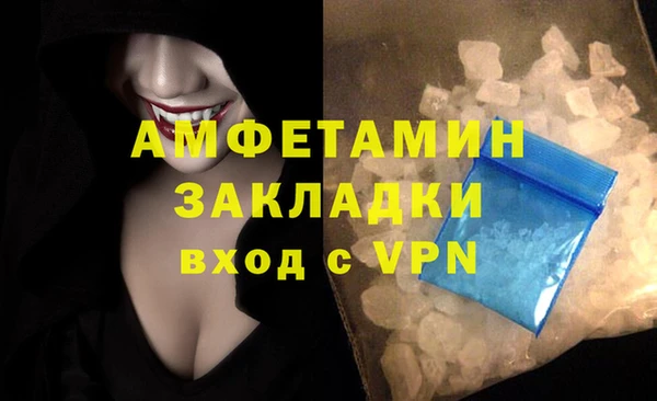 дживик Болотное