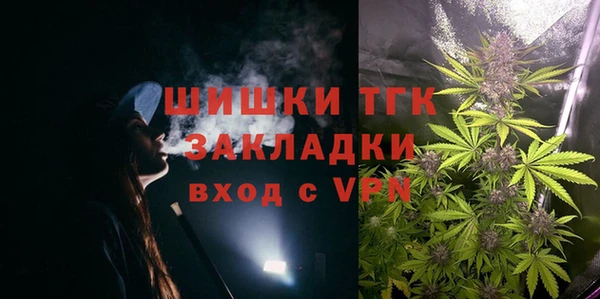 дживик Болотное
