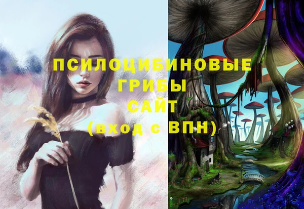соль ск Чегем