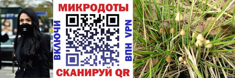 Псилоцибиновые грибы Magic Shrooms omg ссылки Калининец