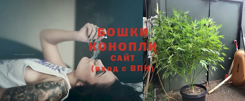 МАРИХУАНА Amnesia  где купить наркотик  Калининец 